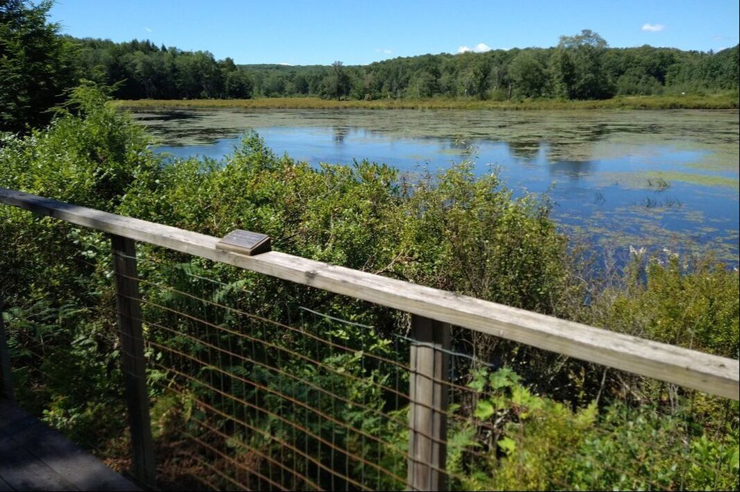 a railing overlooking Browning Beaver Meadow Sanctuary