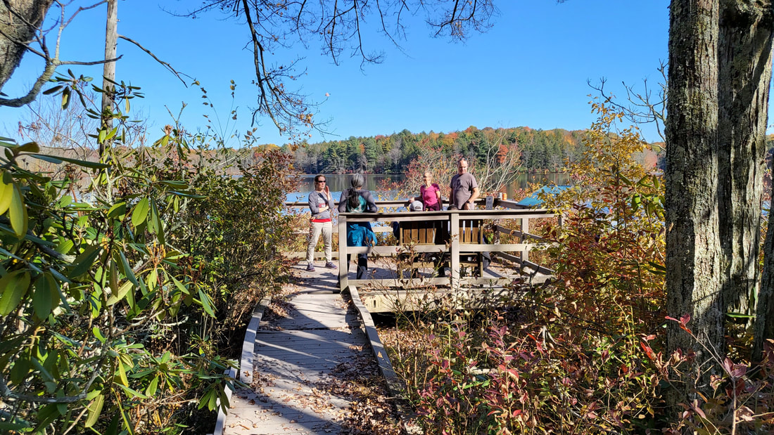 20221022-141320_orig Lake Lacawac Viewing Deck