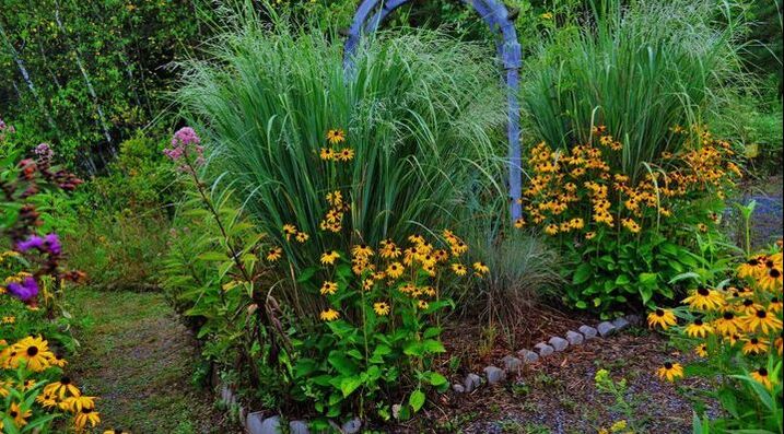 40932-467627410609-4270105-n Native Plant Garden