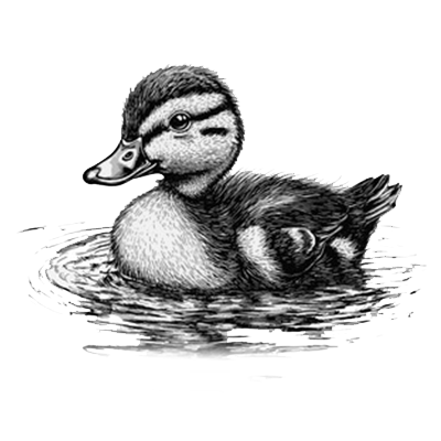 Duckling