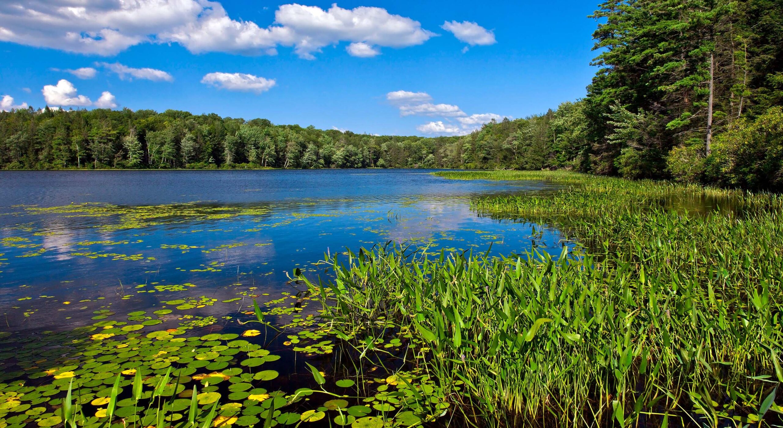 Historic Watres Lodge at Lacawac Sanctuary gallery photo 2 — Lake Wedding Venue in Lake Ariel, PA