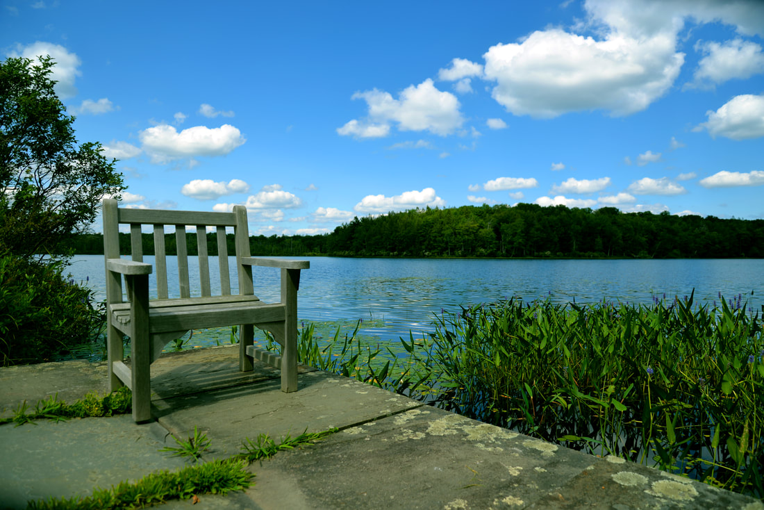Chair sitting alongside Lake Lacawac