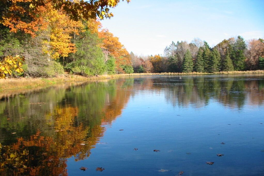 heron-pond-on-big-lake-trail-at-lacawac Heron Pond