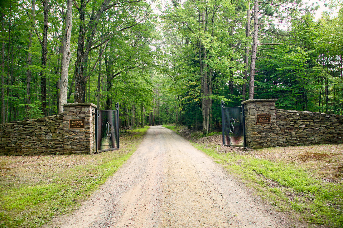 lacawac-gate_orig Lacawac Sanctuary Gate