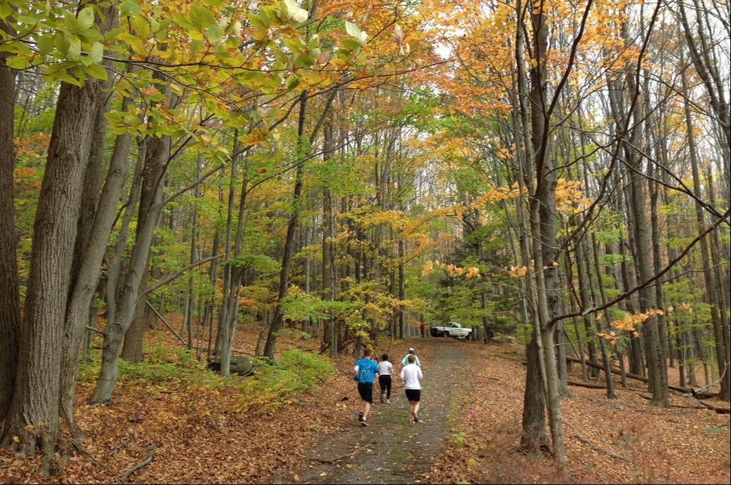 Big Lake Trail