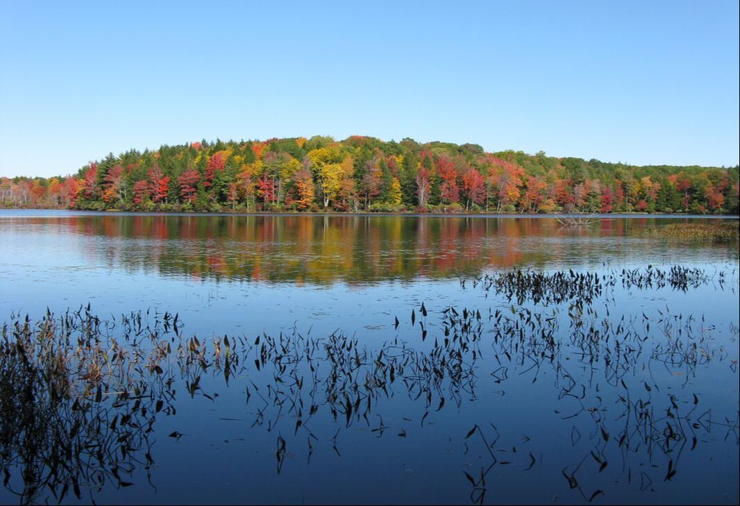 Scenic photograph of Lake Lacawac with fall foliage on full display across lake