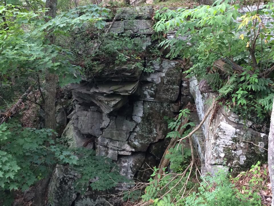 Rock outcropping in a wooded area