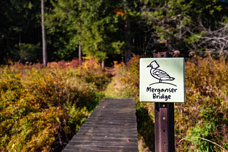 dn-ttd-way-browningbeavermeadowsanctuary-09_orig Smaller wooden bridge named "Merganser Bridge" crossing a meadow with forested hills beyond at Browning Beaver Meadow Sanctuary, showing a peaceful outdoor landscape.