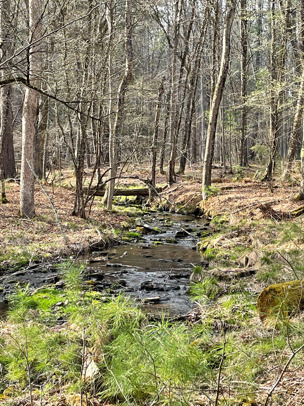 Peterson Nature Preserve - Image 01
