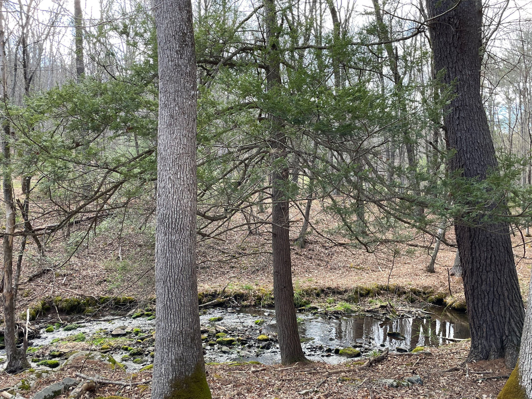Peterson Nature Preserve - Image 02