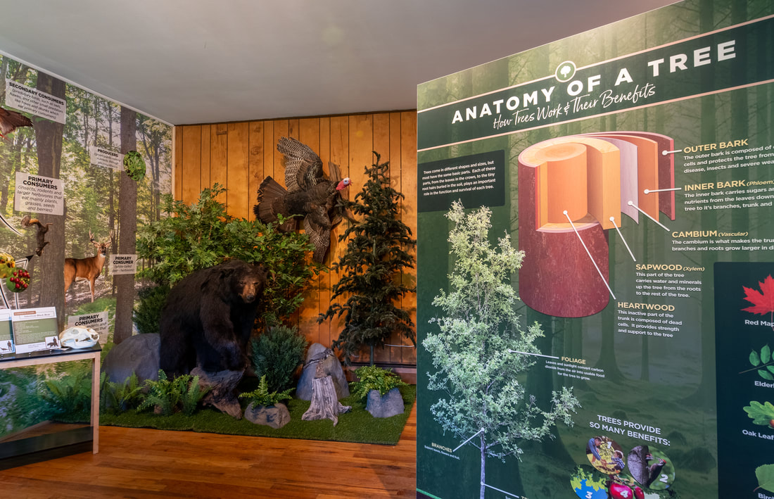View of interior displays at the visitor center