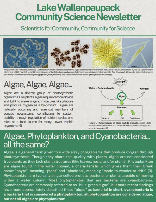 pleon-june-24_orig PLEON Citizen Science Newsletter - June 24, 2024