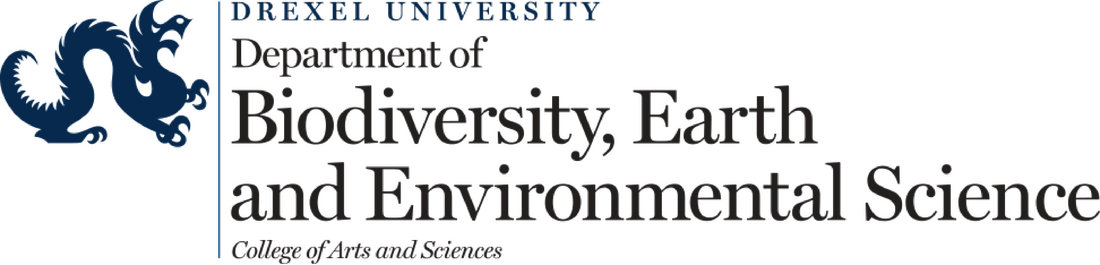 bees-color-logo-tiff_orig Drexel Univeristy Department of Biodiversity, Earth, and Environmental Science | College of Arts and Sciences