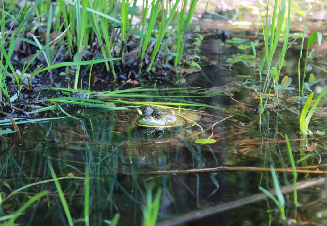 Photo by Justin Davis, 2024 3rd Place Winner