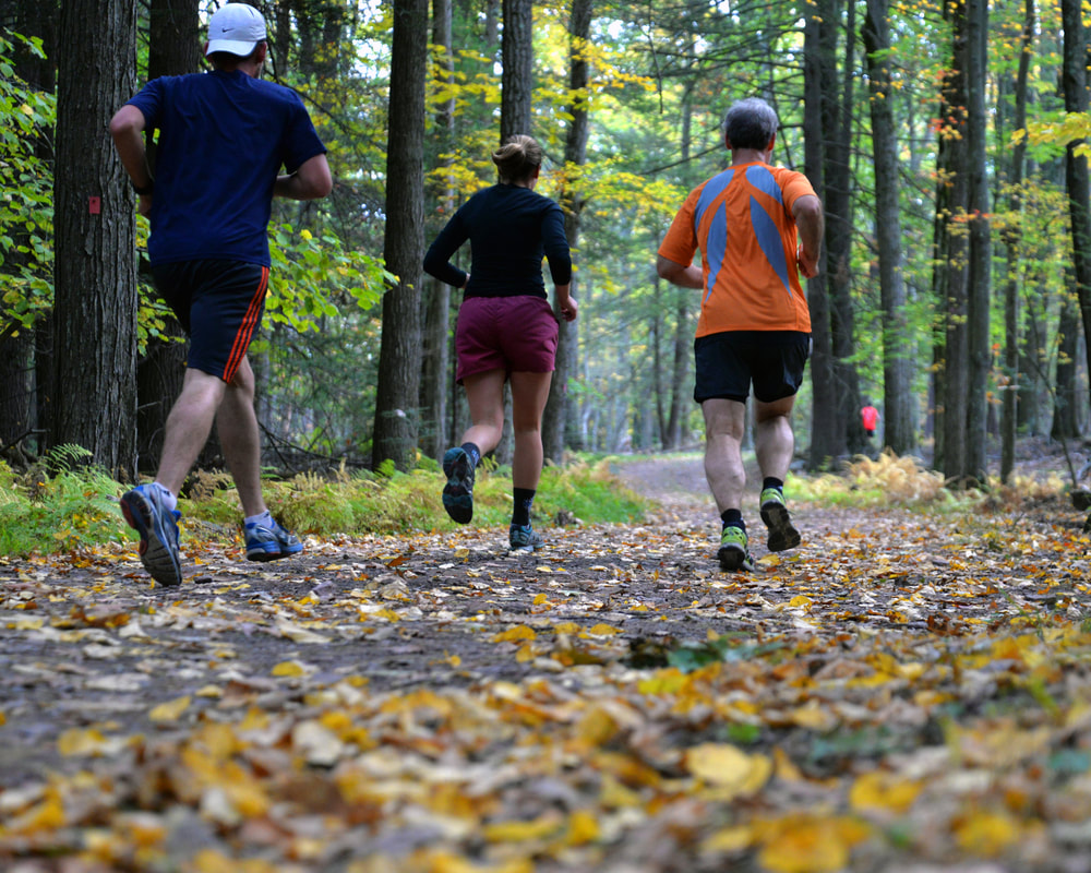 People running through forest in autumn with colorful leaves on trail