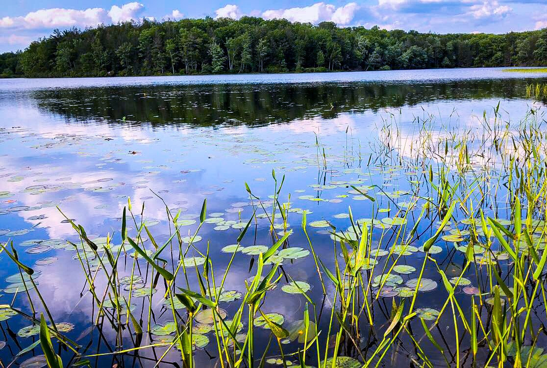 Lake Lacawac
