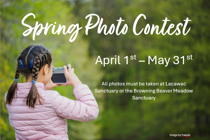 Spring Photo Contest - April 1 - May 31. All photos must be taken at Lacawac Sanctuary of the Browning Beaver Meadow Sanctuary
