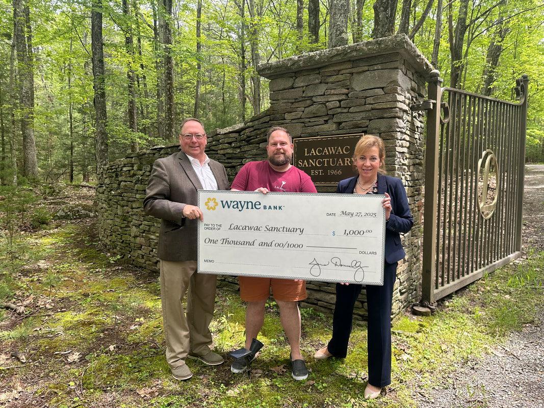 wayne-bank-2025_orig Wayne Bank presenting a large check to Lacawac Sanctuary