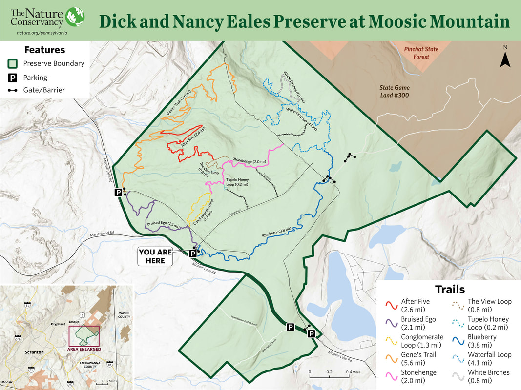 eales-preserve-map-june2024_orig