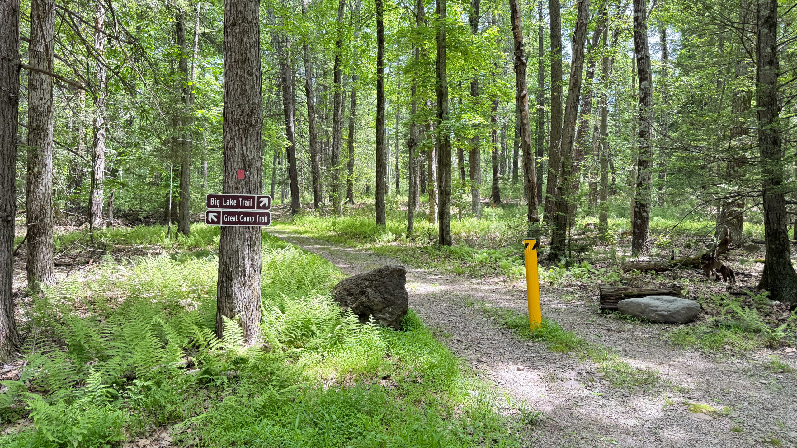 (2026-6-4) Trail 4