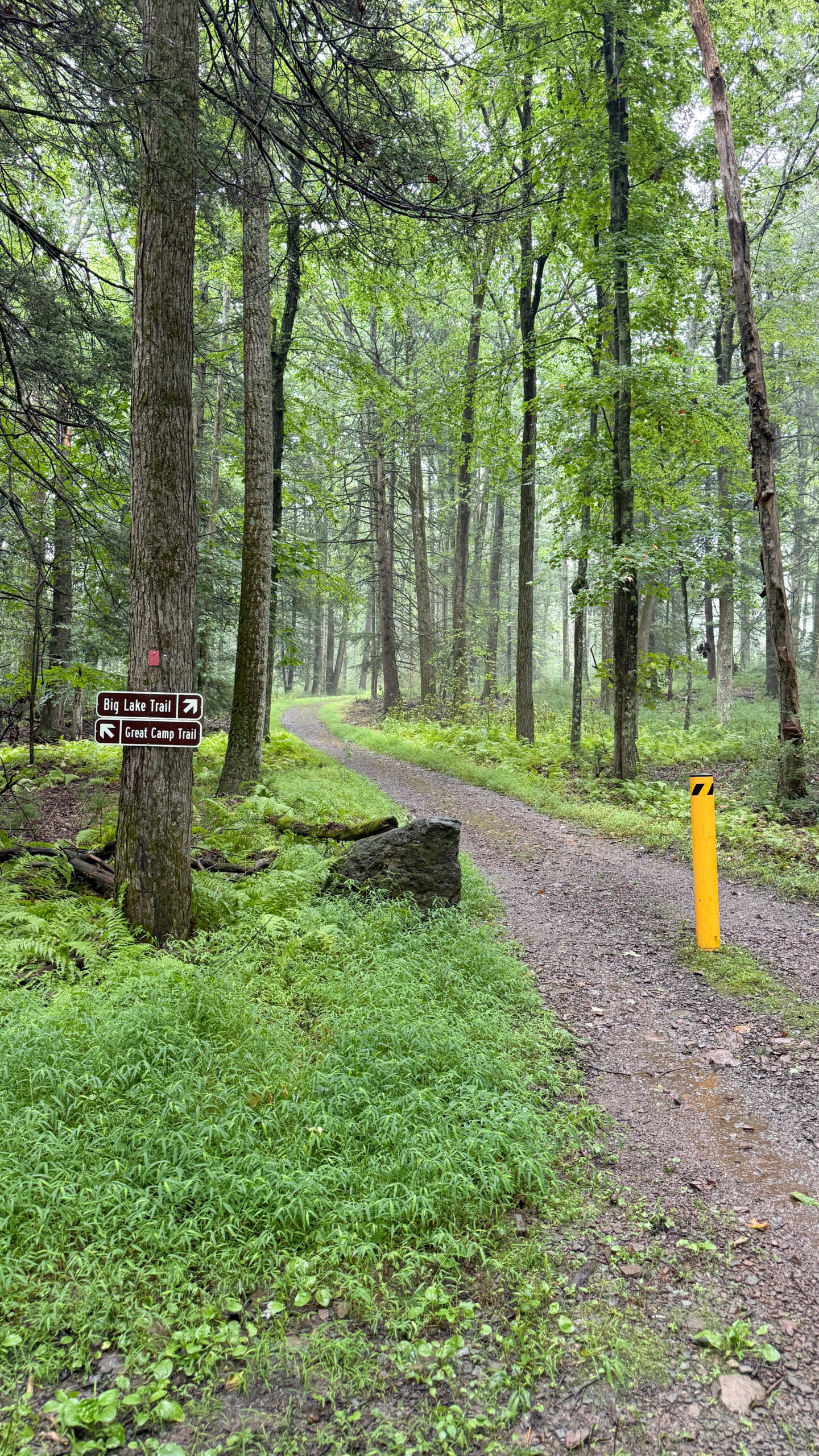 (2026-9-1) Trail 1
