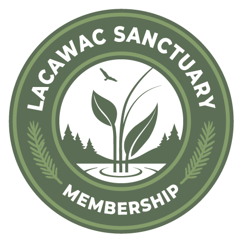 LAC-LOGO-WEB-10-2026-MEMBER-FINAL